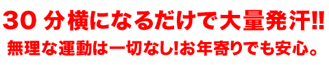 �X�}�[�e�B�C���[�W