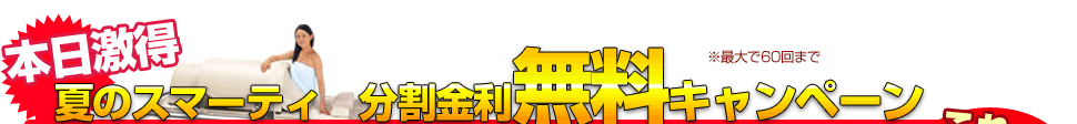 夏だけスマーティ分割金利無料キャンペーン