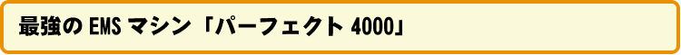 最強のEMSマシン「パーフェクト4000」