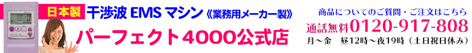 正規販売店パーフェクト4000