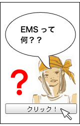 EMSって何？