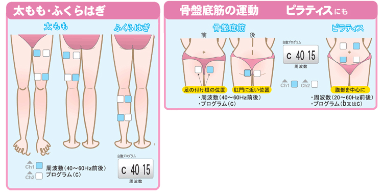 太もも、ふくらはぎ