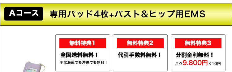 Aコース 専用パッド4枚＋バスト&ヒップ専用EMS