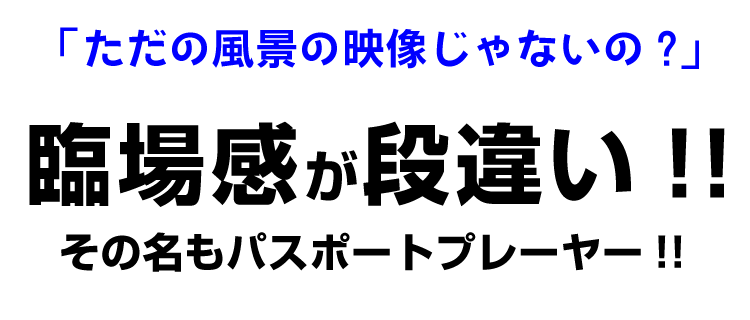 パスポートプレーヤー説明