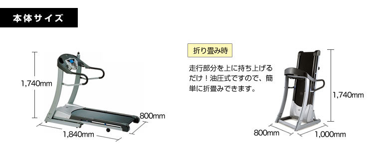 本体サイズ