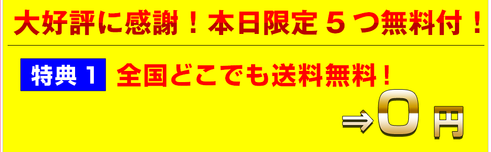 高圧酸素カプセルリフレッシュO2は送料無料