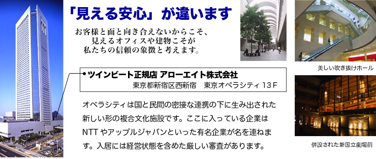 ツインビート2体験談